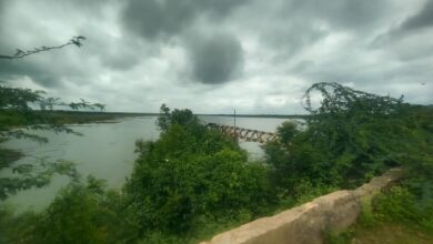 Photo of मांगी तलावाचा भराव झाडा- झुडपांच्या विळख्यात; भेगा पडल्यास भविष्यात धोका निर्माण होण्याची शक्यता