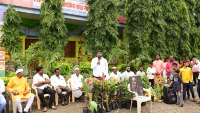 Photo of पैलवान ग्रुप सालसे यांच्यावतीने युवा नेते यशवंत भैय्या शिंदे यांच्या हस्ते वृक्षारोपण कार्यक्रम संपन्न