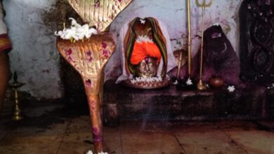 Photo of शेलगाव क येथे उद्या नागनाथ महाराजांची यात्रा; भाविकांनी उपस्थित राहण्याचे यात्रा कमिटीचे आवाहन