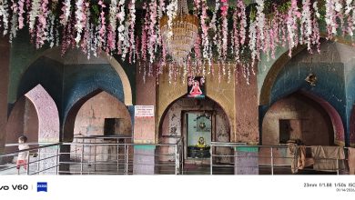 Photo of महाशिवरात्रीनिमित्त संगोबा येथे आदिनाथ महाराज यात्रेस आजपासून सुरुवात; यात्रा कमिटीकडून जय्यत तयारी