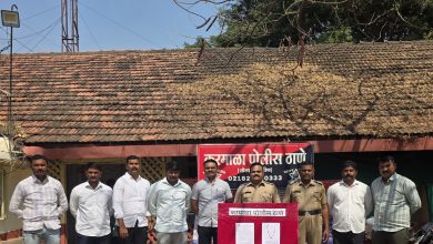 Photo of करमाळा पोलिसांची कारवाई; सोन्याचे दागिने हिसकावणारा आरोपी जेरबंद