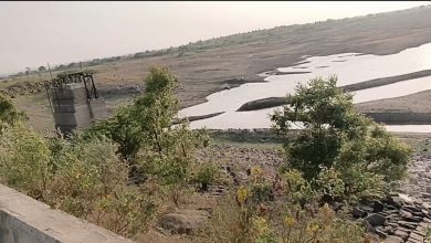 Photo of पाणी प्रश्नावर शेतकरी आक्रमक; उद्या मांगी येथे टेंभुर्णी-नगर महामार्गावर रस्ता रोको आंदोलन