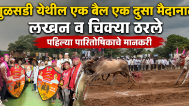 Photo of गुळसडी येथील ‘एक बैल एक दुसा मैदानात’ लखन व चिक्या ठरले पहिल्या पारितोषिकाचे मानकरी